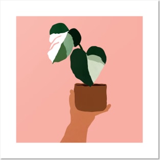 Monstera Posters and Art